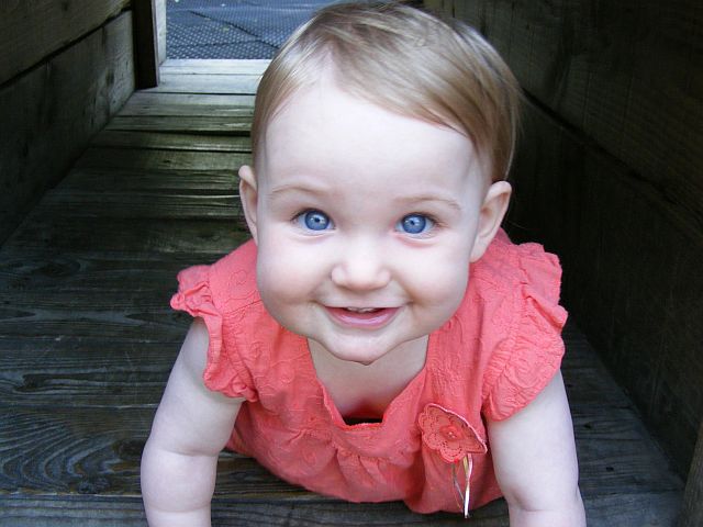 Darcie